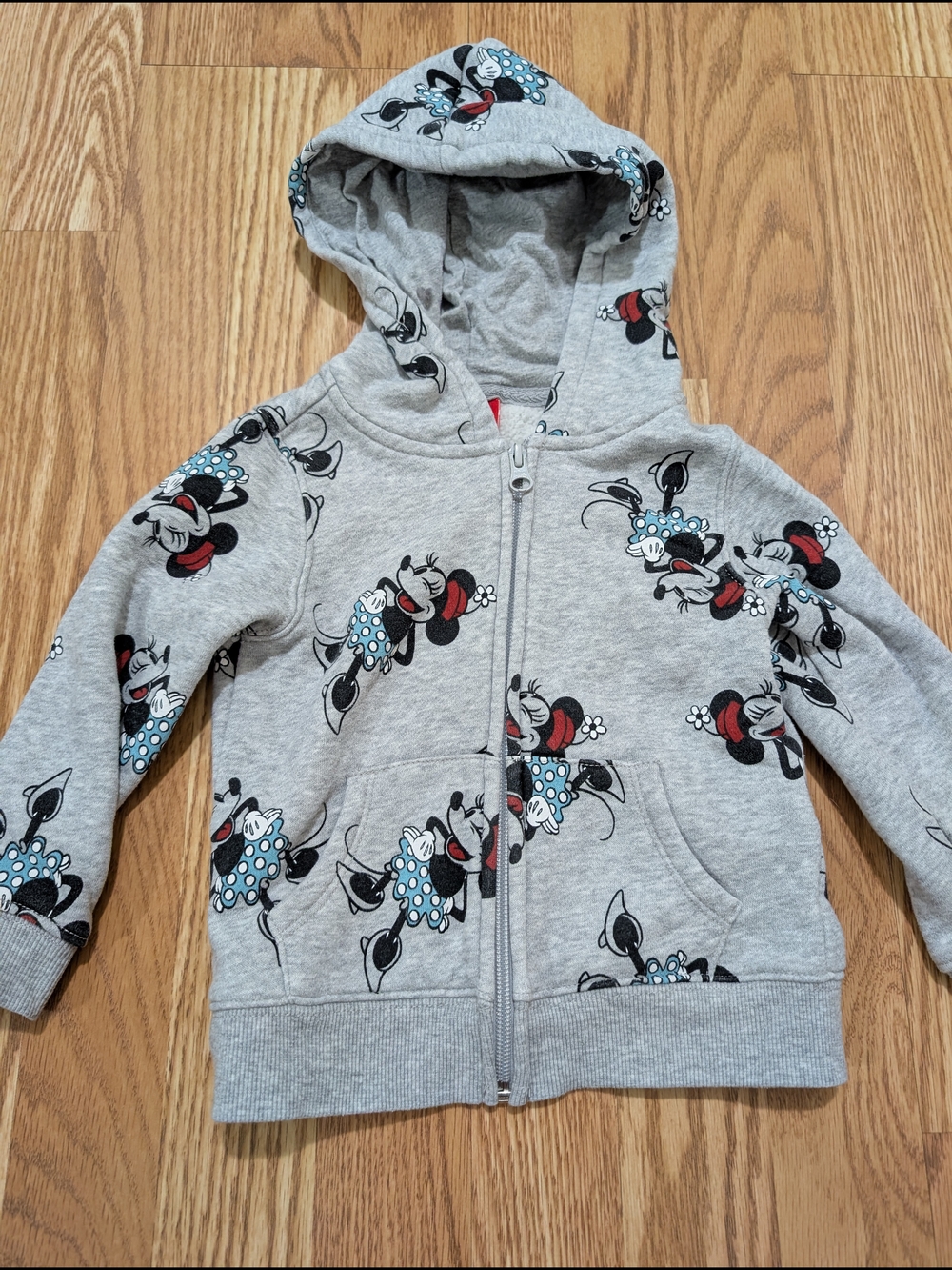 Disney Girls' Gray Minnie Mouse Zip Hoodie 2T